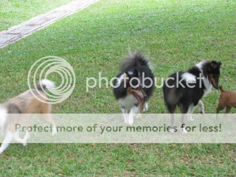 Photobucket