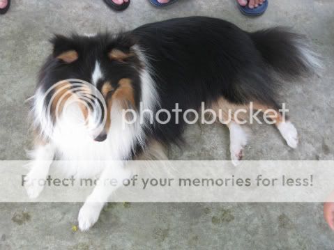 Photobucket