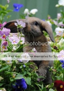  photo image.jpg1_zpskr7hb50m.jpg