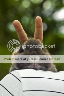  photo image.jpg1_zpsprimo8fg.jpg