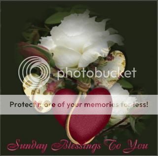  photo imagejpg1_zps203ffbf5.jpg