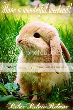  photo imagejpg1_zps5e7fd40e.jpg