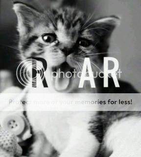  photo imagejpg1_zps9d9bc4b7.jpg