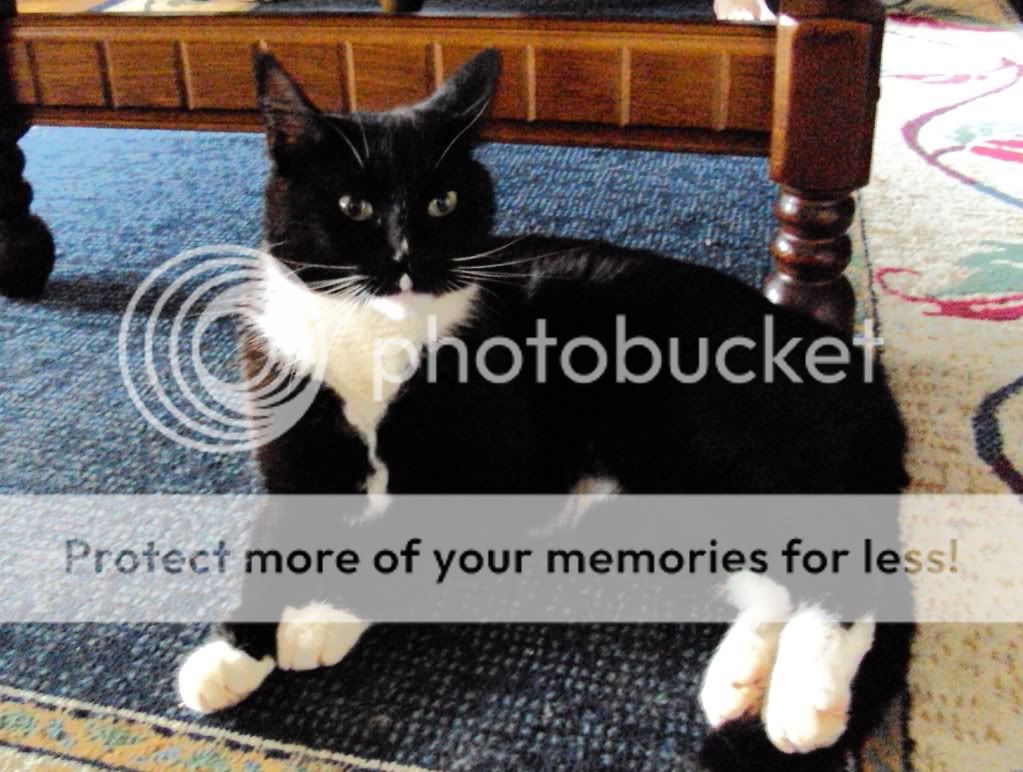 Photobucket
