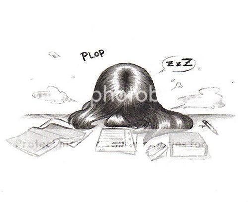 Studying Pictures, Images and Photos