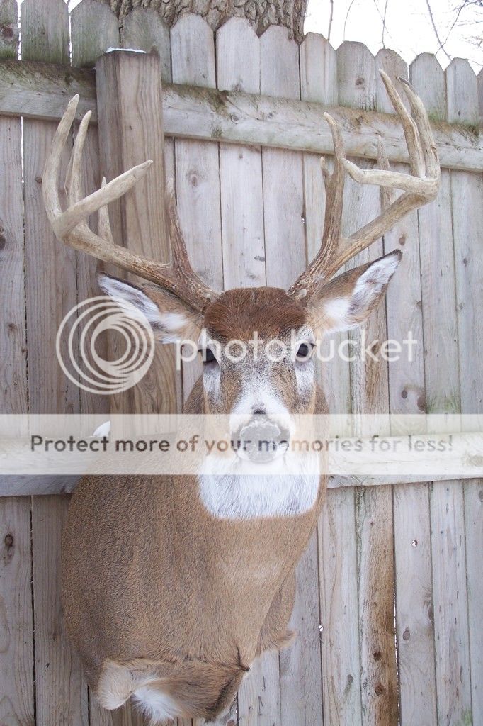 Mckenzie 8600 to the Forum and Community!