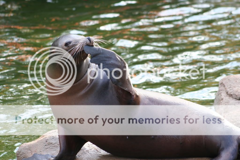 IMAGE: http://i327.photobucket.com/albums/k463/tatortech/IMG_1240.jpg