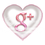  googleplus icon