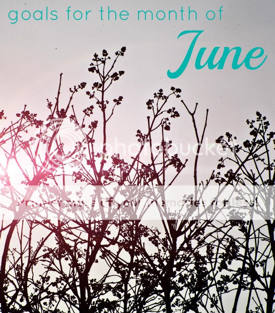june goals header photo junegoals_zps19ec7e84.jpg