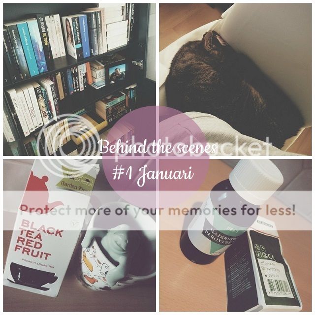 photo 122_zpsbd8cf9d0.jpg