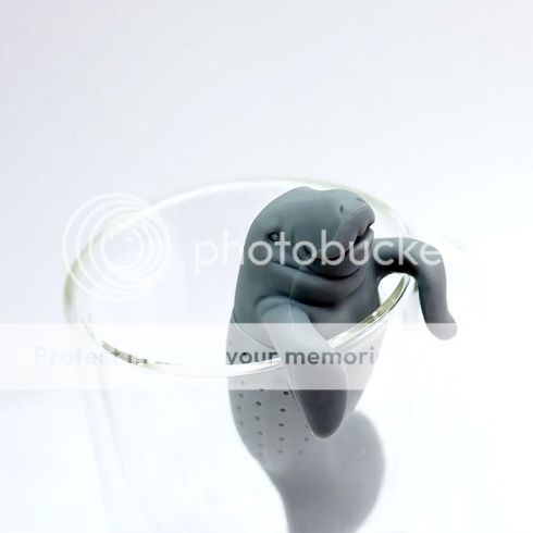 photo manatea-4_zps7f9d68f6.jpg