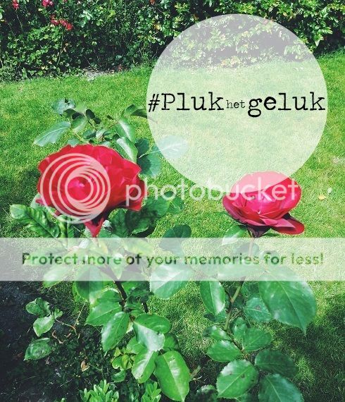 photo plukhetgeluk_zpse64121d3.jpg