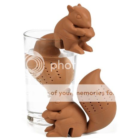 photo squirrel-tea-infuser-xl_zps1affd696.jpg