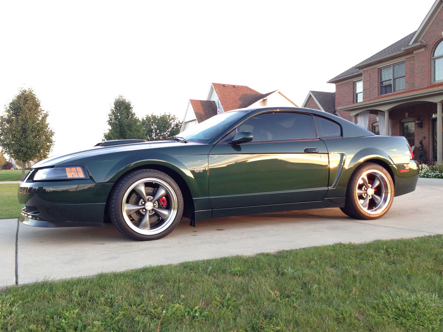 Hooked up mustang