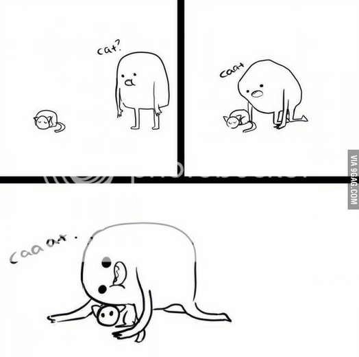 photo cat_zps2hmqqtxi.png